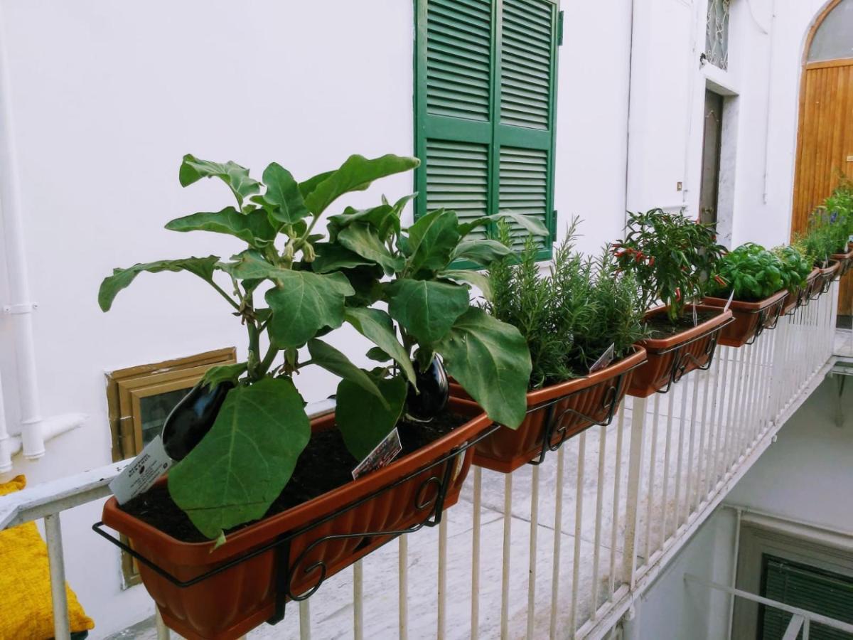 B&B Napoli Ruck&Maul Екстер'єр фото